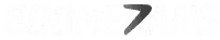 BoomerangBet logo