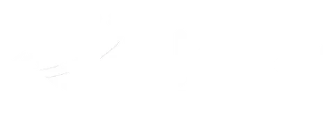 Galaxy Spins logo