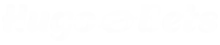 Logo Hugo Bets