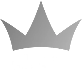 Niyvi logo