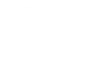 Robocat logo