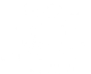 Shiny Wild logo