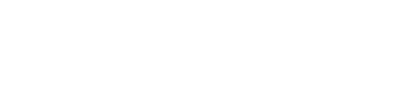 Space Fortuna logo