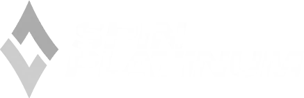 Logo SpinPlatinum